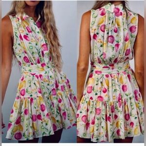 Cynthia Rowley Linen Fruit  Print Fit And Flare Short Mini Dress Size 8